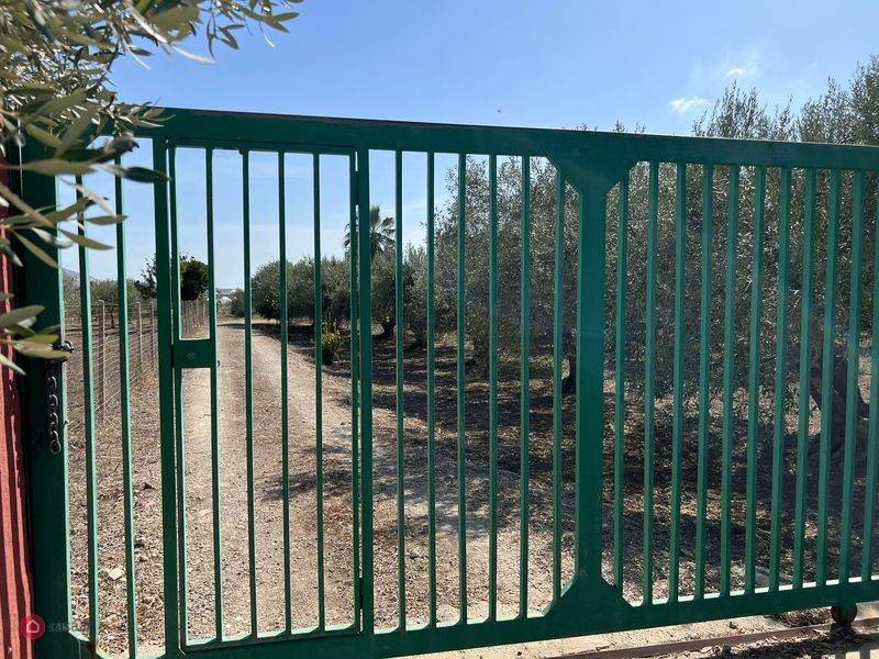 terreno con uliveto e fabbricato