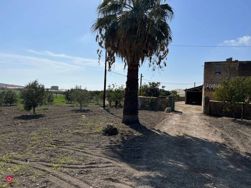 terreno con uliveto e fabbricato