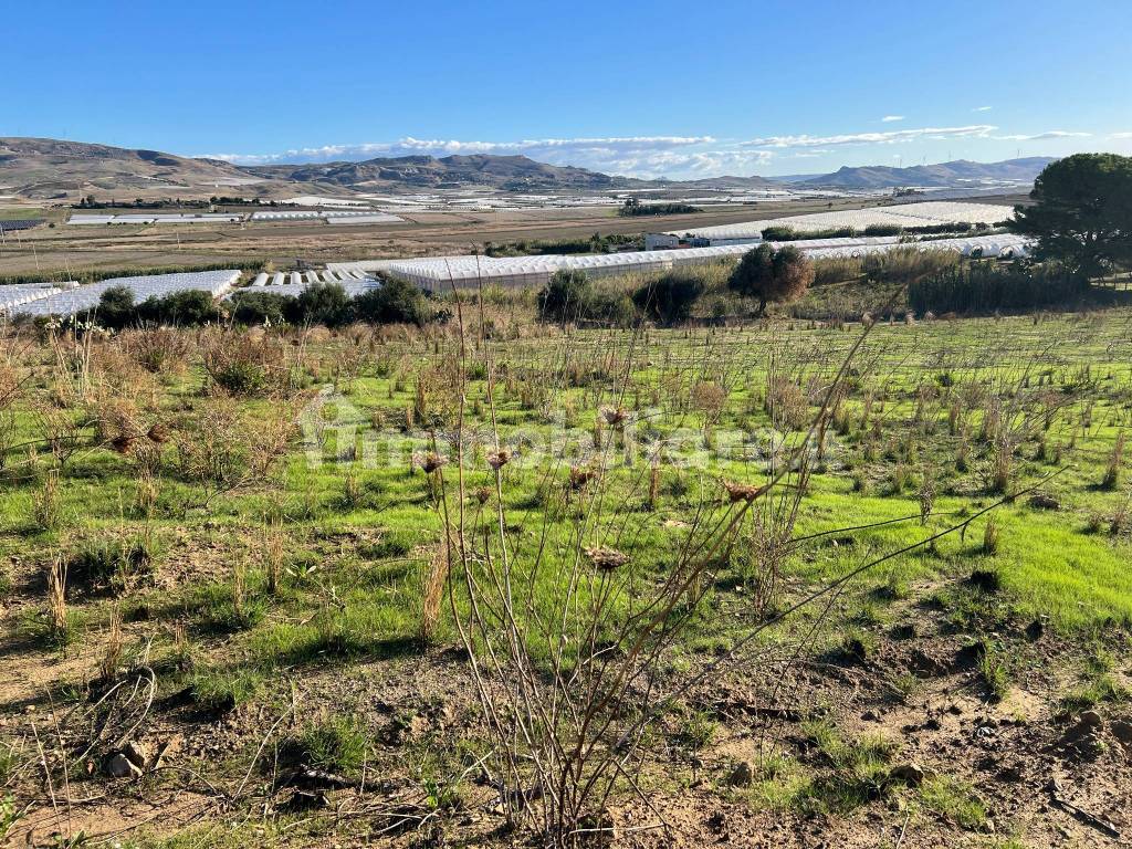 Terreno in vendita in Contrada Poggio Carrubella