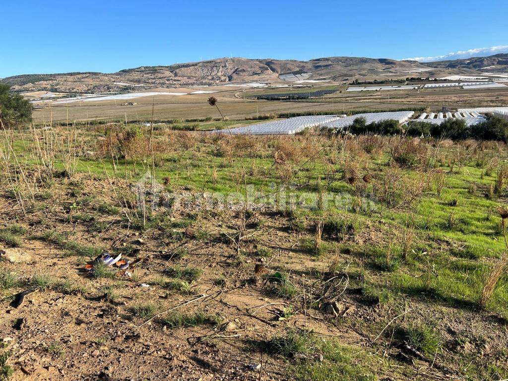 Terreno in vendita in Contrada Poggio Carrubella