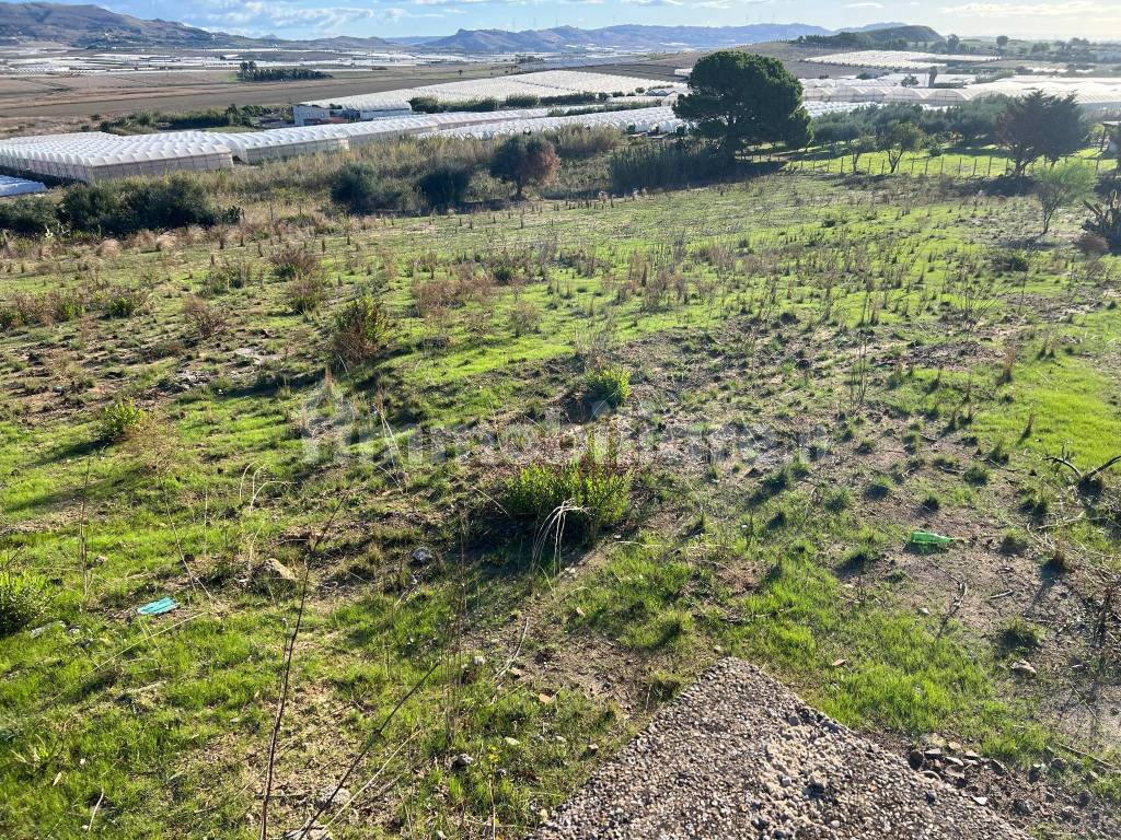 Terreno in vendita in Contrada Poggio Carrubella