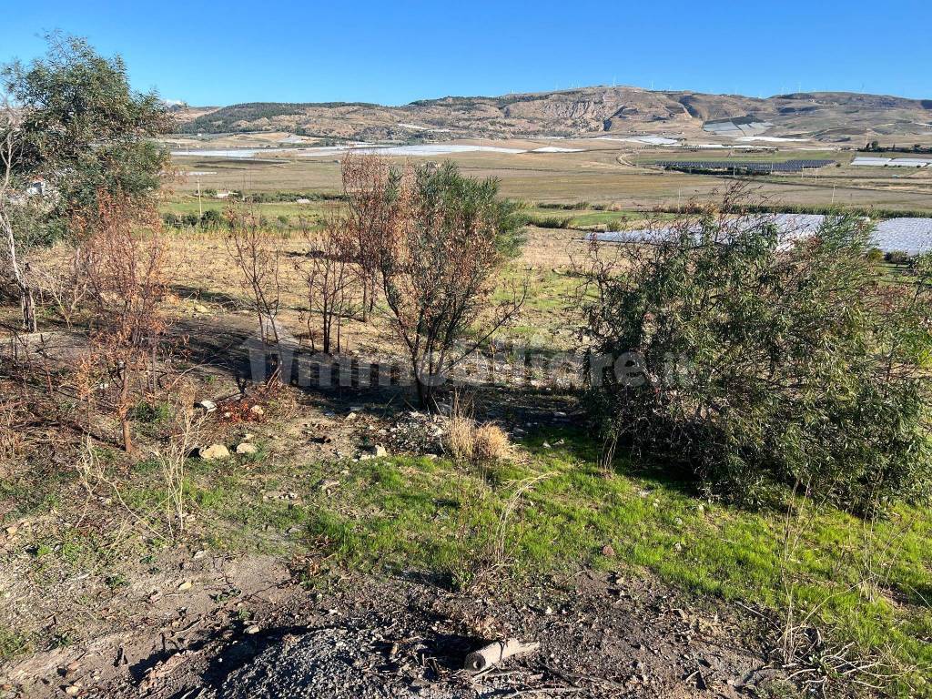 Terreno in vendita in Contrada Poggio Carrubella